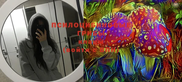герыч Вяземский