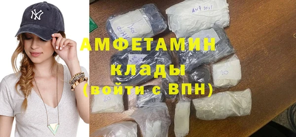 прущие грибы Вязники