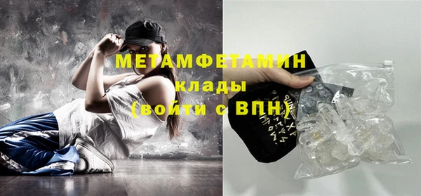 прущие грибы Вязники