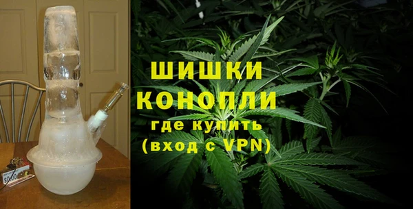 2c-b Горнозаводск