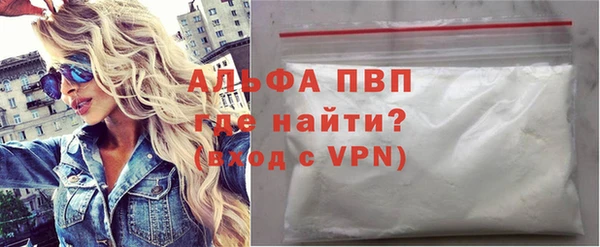 прущие грибы Вязники
