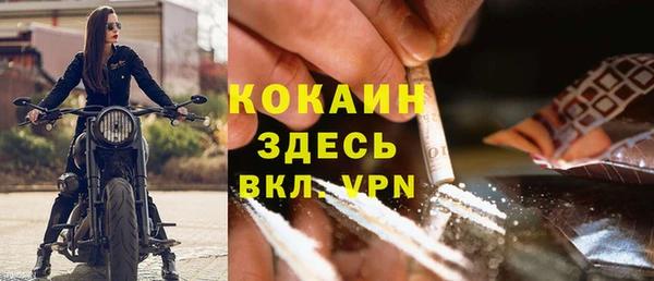 прущие грибы Вязники