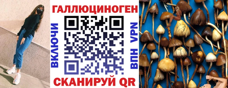 Галлюциногенные грибы прущие грибы Данков